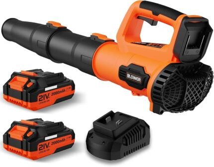 Leaf Blower, 21V Cordless Electric Blower with 2 2.0Ah Batteries and 1 Hour Fast Charger, Lightweight Leaf Blower for Patio Cleaning, Lawn Care, Blowing Fallen Leaves and Dust, etc.