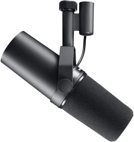 Dynamic Studio Microphone - XLR Mic for Podcasting, Streaming, Vocal Recording & Broadcasting, Wide Frequency Range, Smooth Warm Audio, Detachable Windscreen, Black